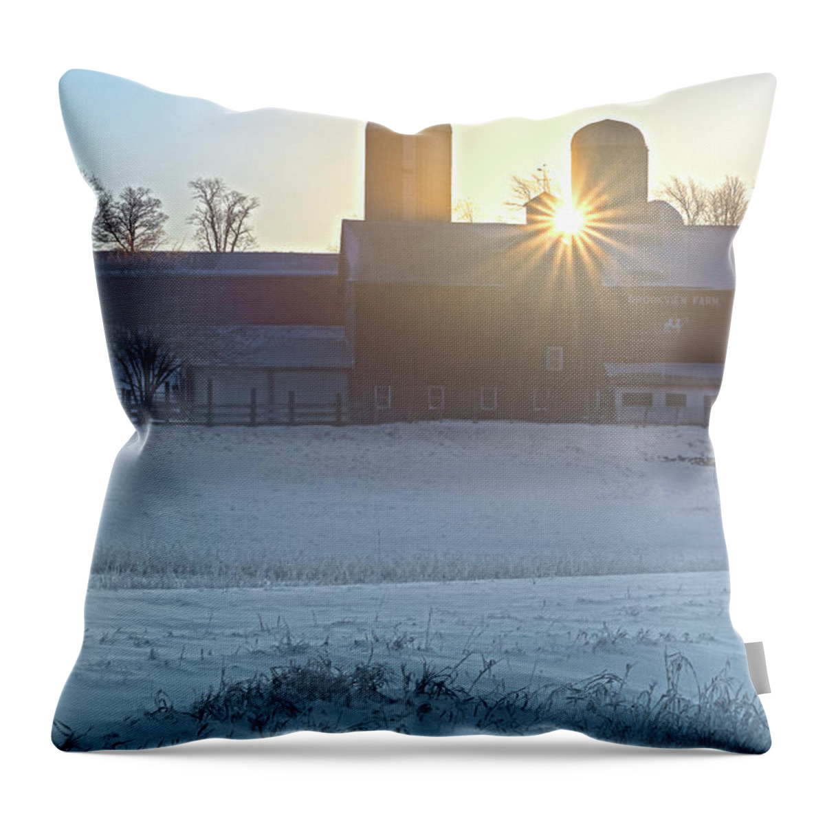 Hudson Valley Throw Pillow featuring the photograph Winter's Welcome by Angelo Marcialis