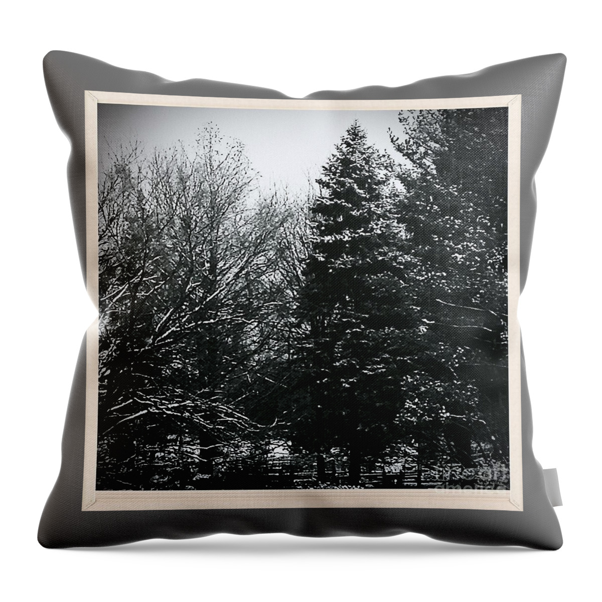 Landscape Throw Pillow featuring the photograph Wintery Woods by Frank J Casella