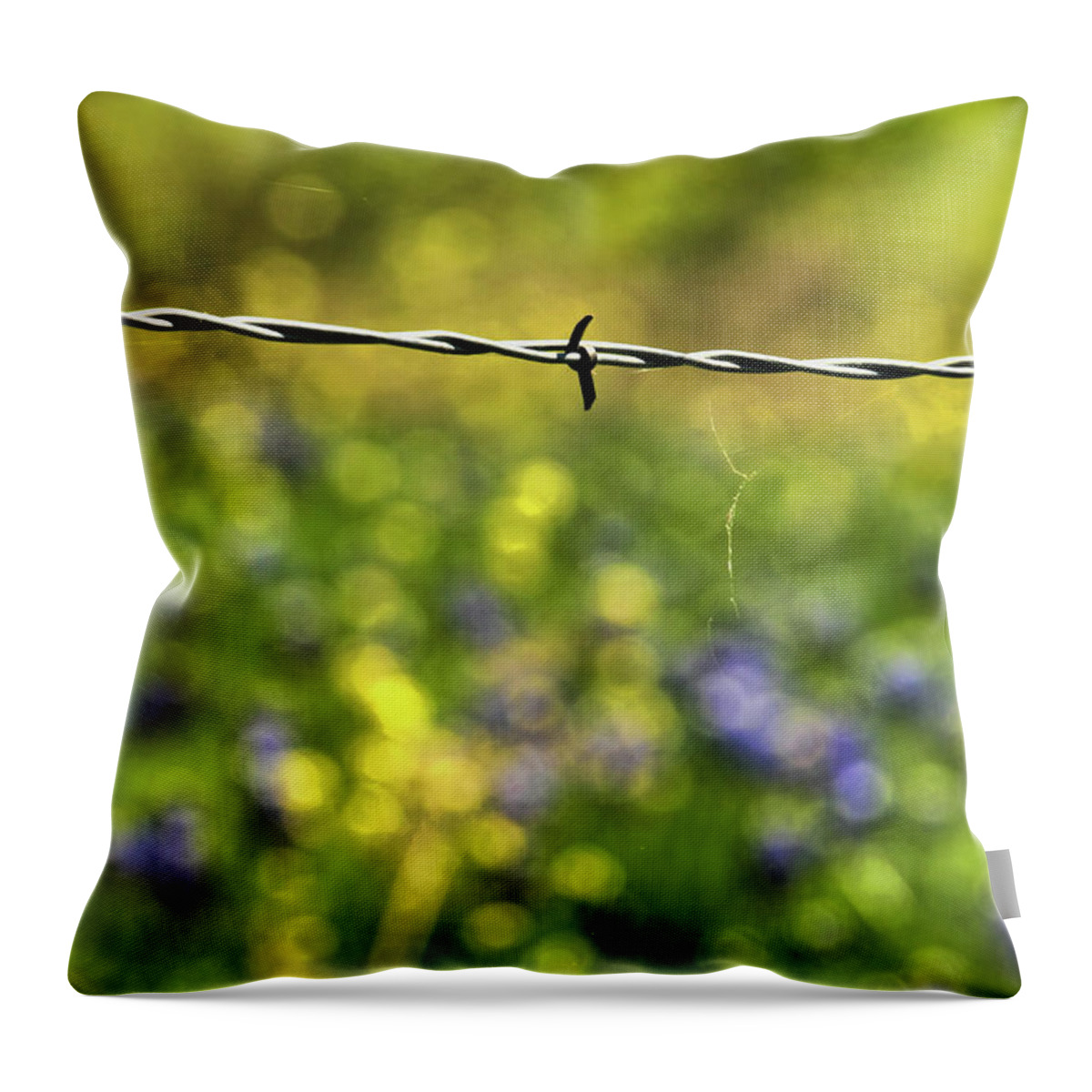 Outdoors Throw Pillow featuring the photograph Wired by Joan Bertucci