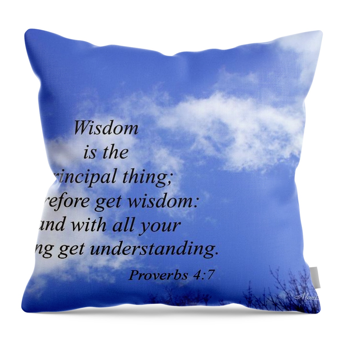 Buy Scripture Print Throw Pillow featuring the photograph Wisdom is the Principal Thing... by Monica C Stovall