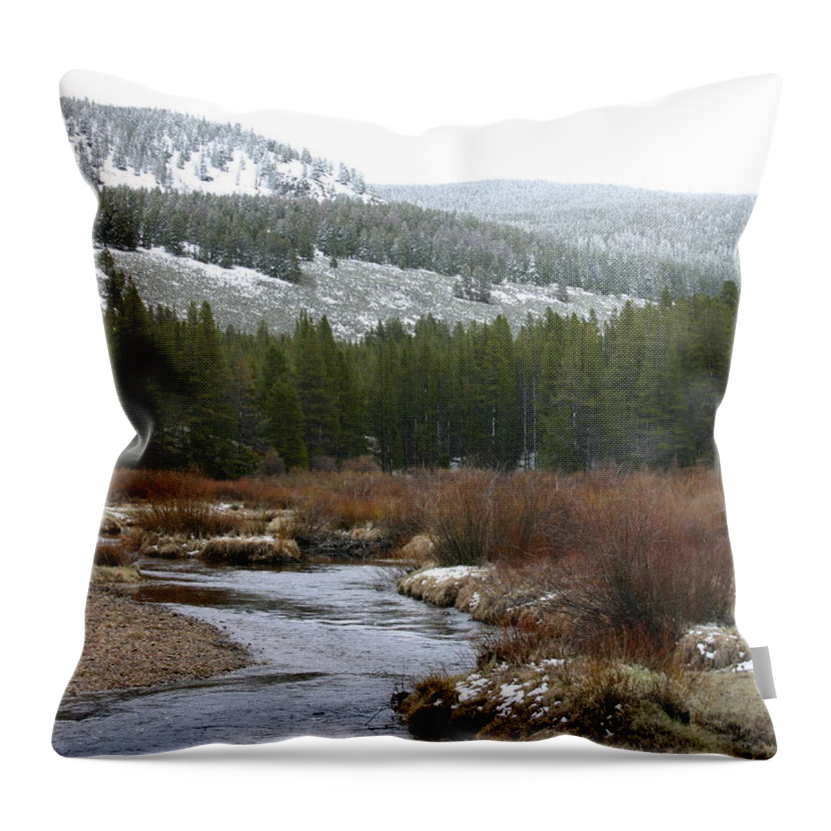 Montana Throw Pillow featuring the photograph Wise River #1 by Nelson Strong