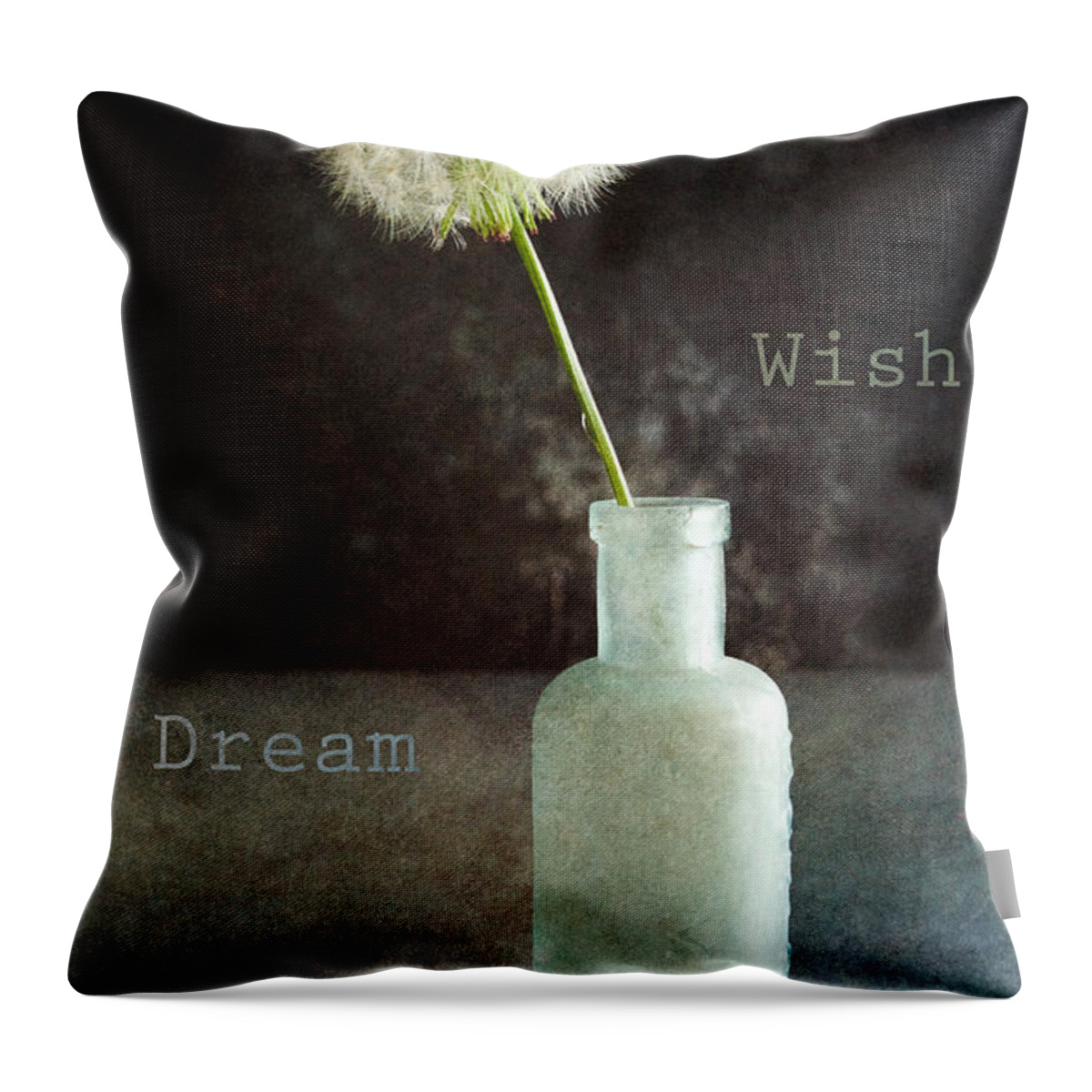 Wish Throw Pillow featuring the photograph Wish and Dream by Randi Kuhne
