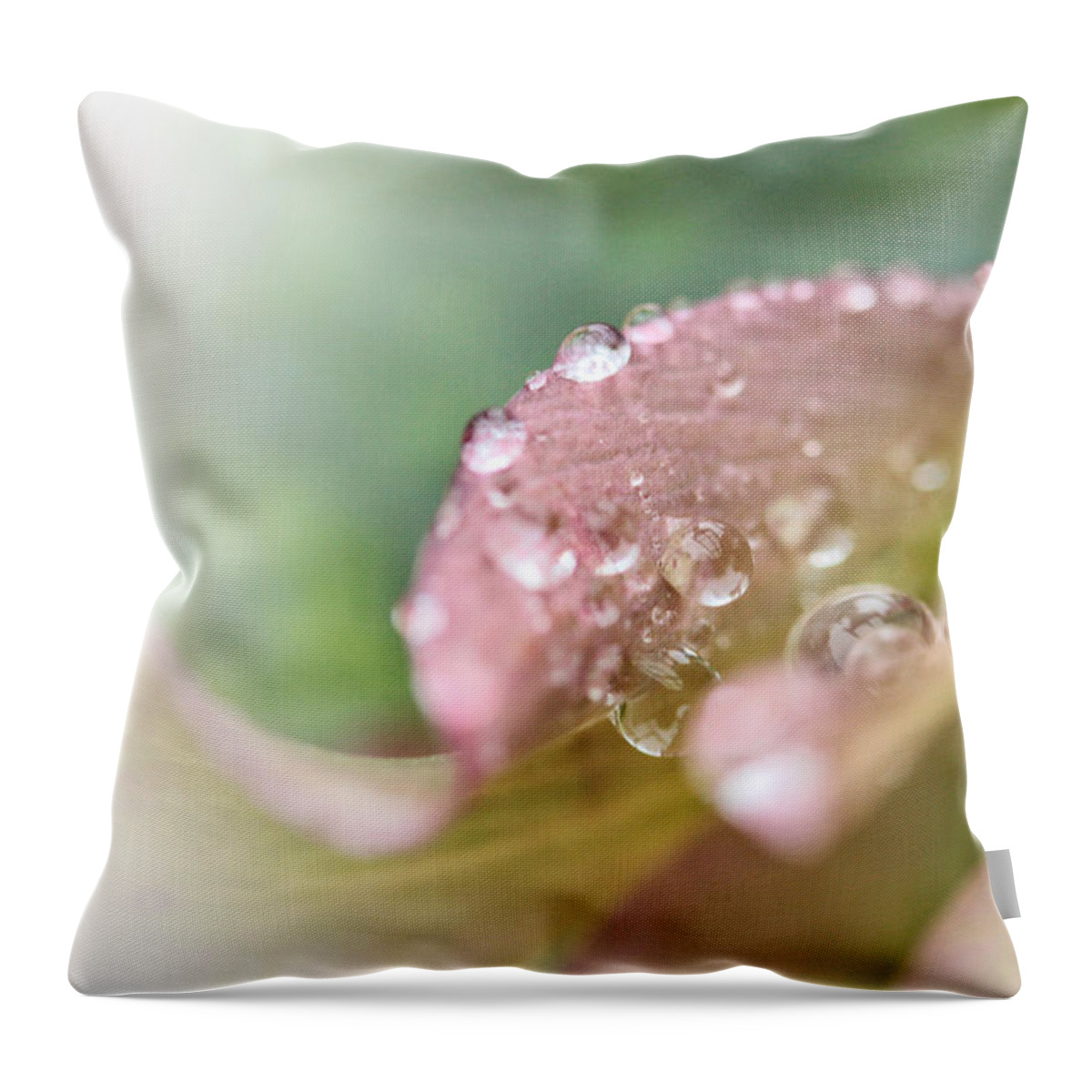 Connie Handscomb Throw Pillow featuring the photograph Wishing Well by Connie Handscomb