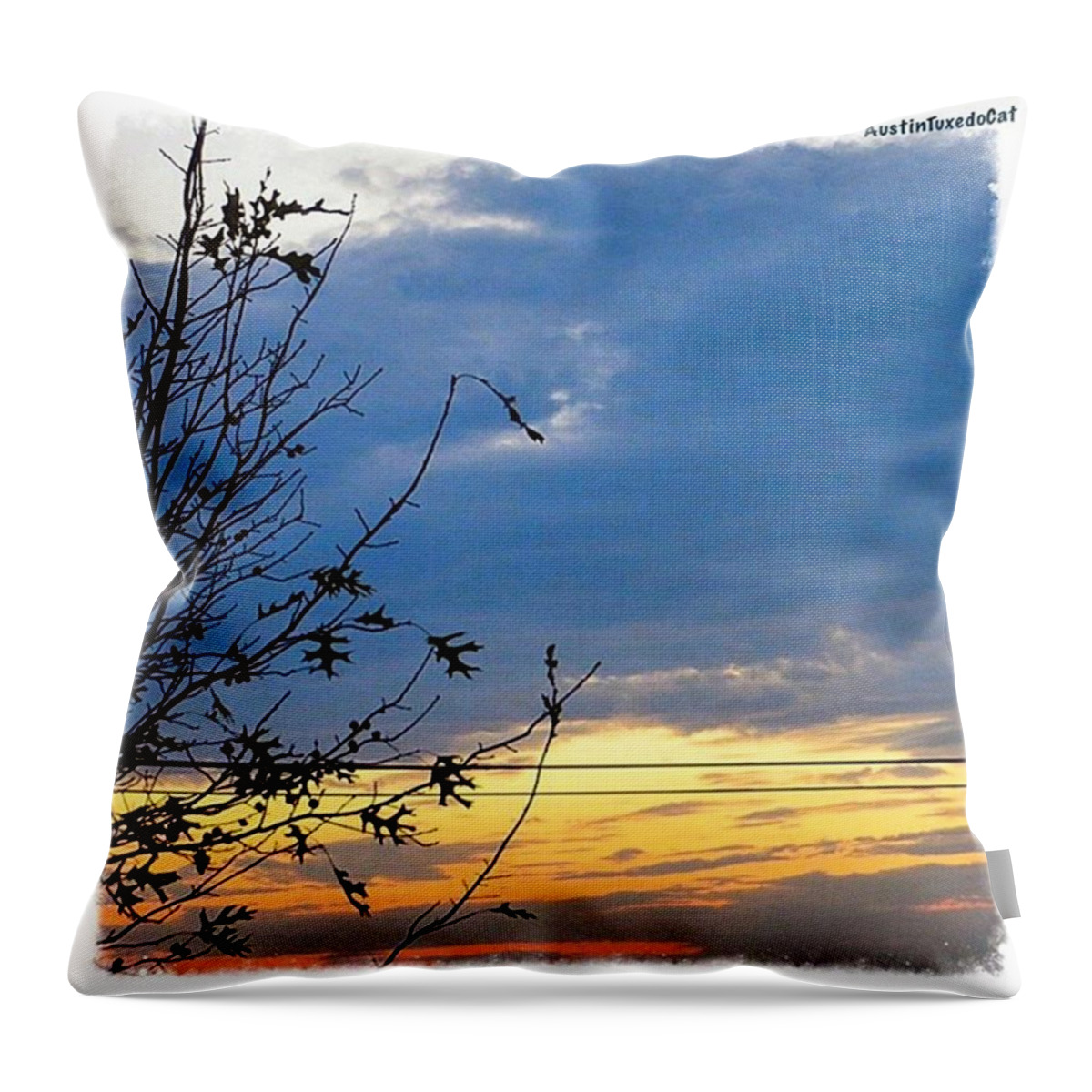 Sunrise_and_sunsets Throw Pillow featuring the photograph Wishing You Extra Sweet #dreams From by Austin Tuxedo Cat