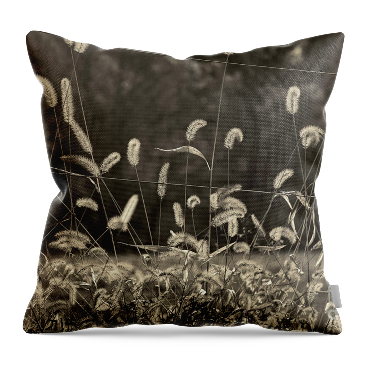Shrub Throw Pillow featuring the photograph Wispy by Joanne Coyle