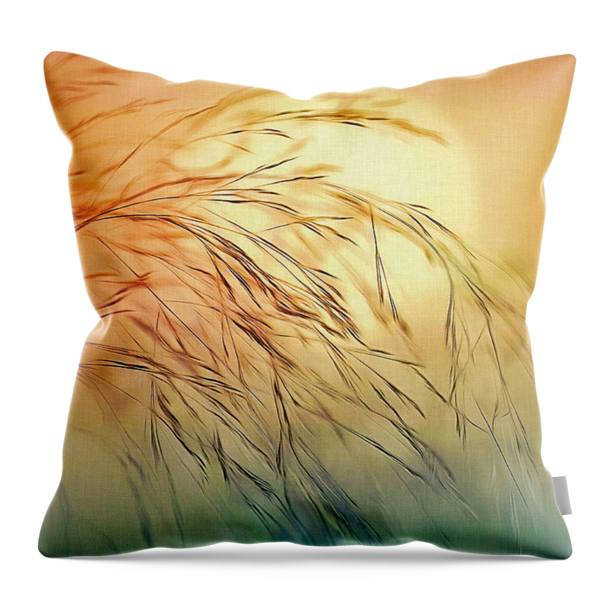 Sun Throw Pillow featuring the digital art Wispy Sunset by Nina Bradica