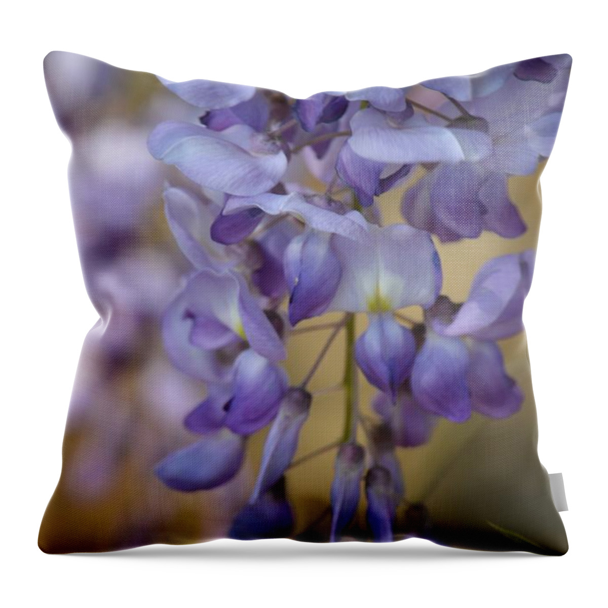 Wisteria 15-04 Throw Pillow featuring the photograph Wisteria 15-04 by Maria Urso