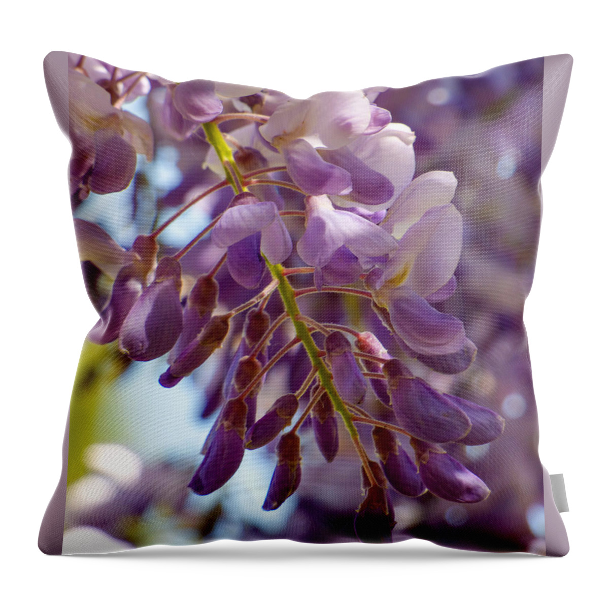 Blooms Throw Pillow featuring the photograph Wisteria Blooms by Steve Taylor
