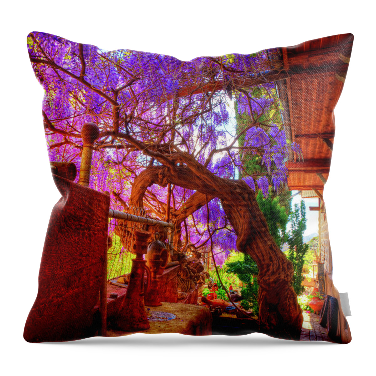 Wisteria Throw Pillow featuring the photograph Wisteria Canopy in Bisbee Arizona by Charlene Mitchell