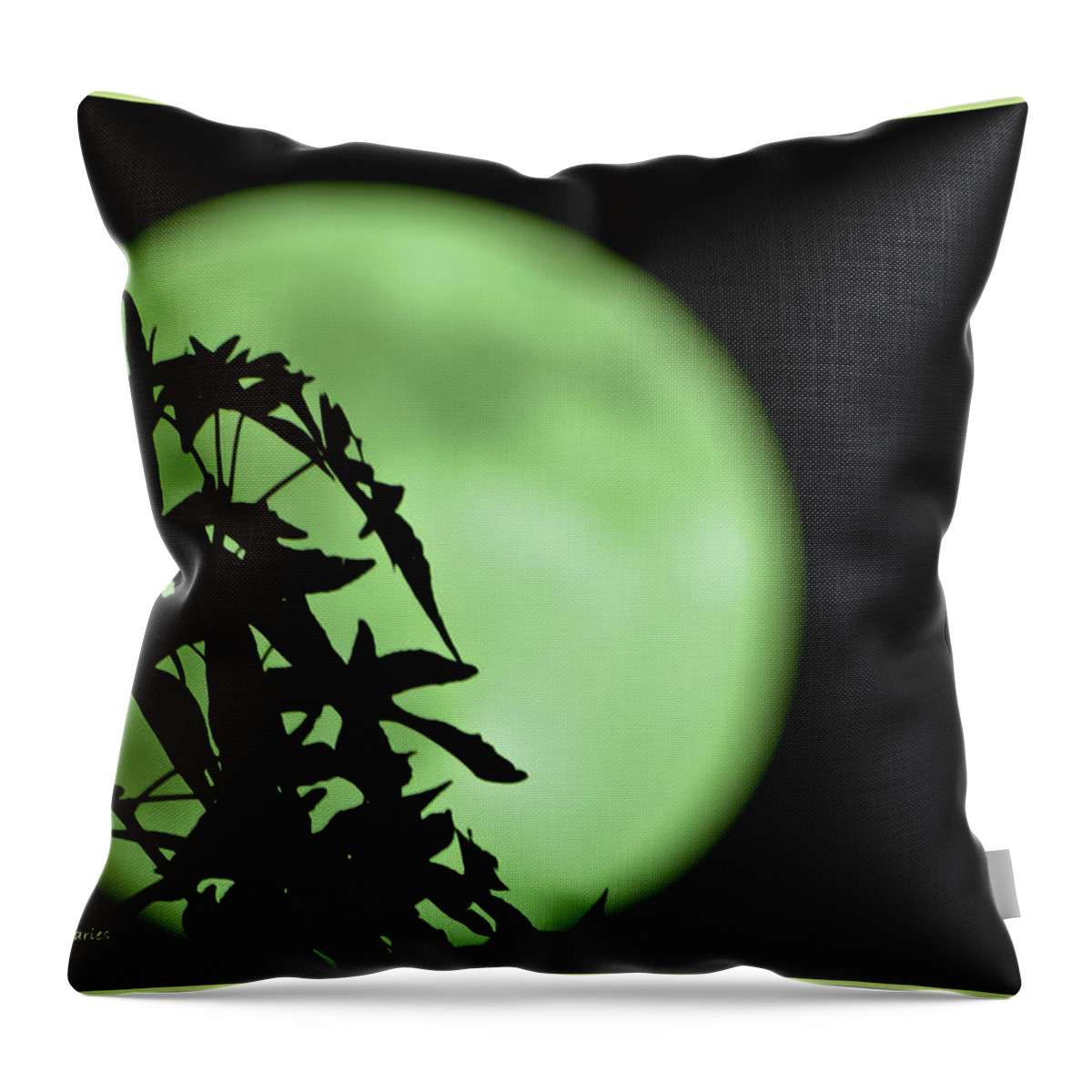 Moon Throw Pillow featuring the photograph Witching Hour by DigiArt Diaries by Vicky B Fuller