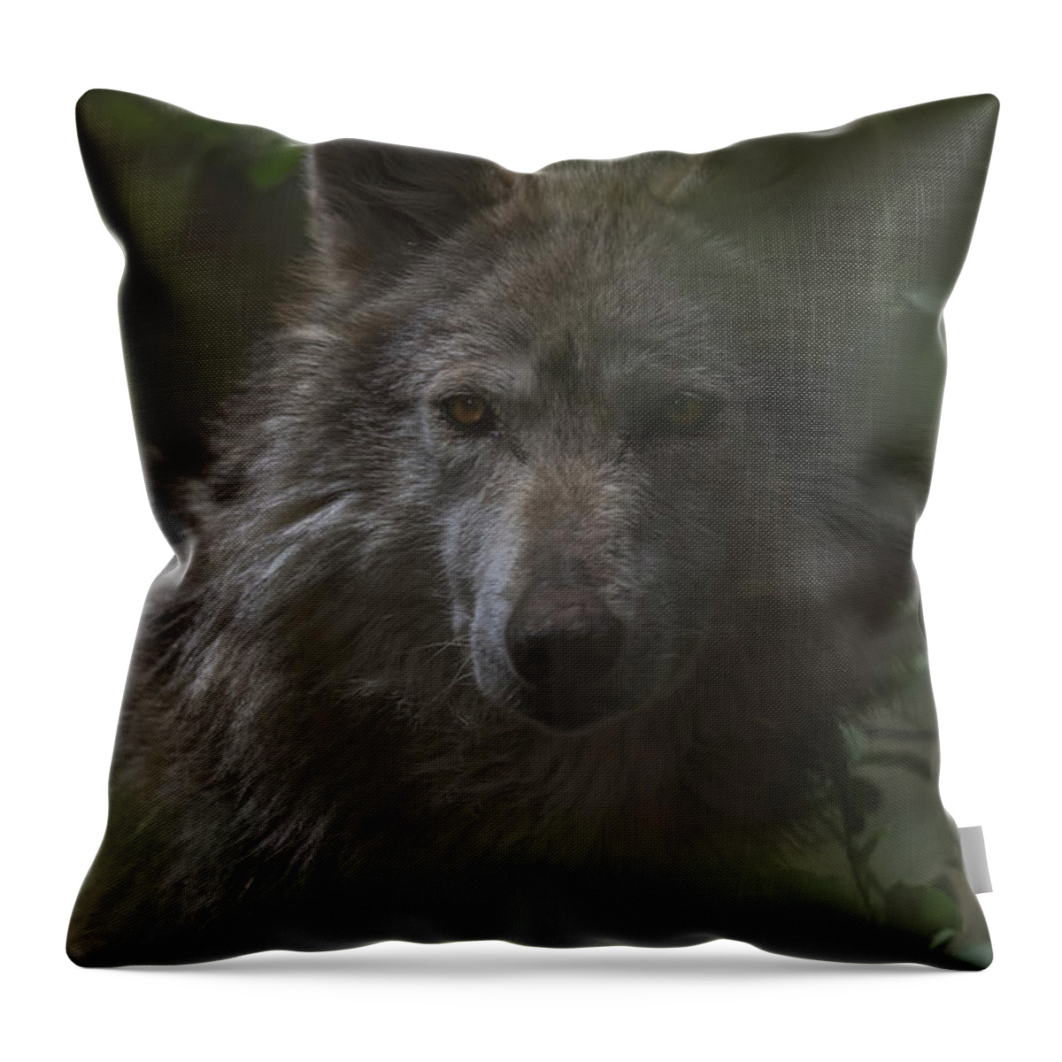Animal Throw Pillow featuring the photograph Wolf by Brian Cross