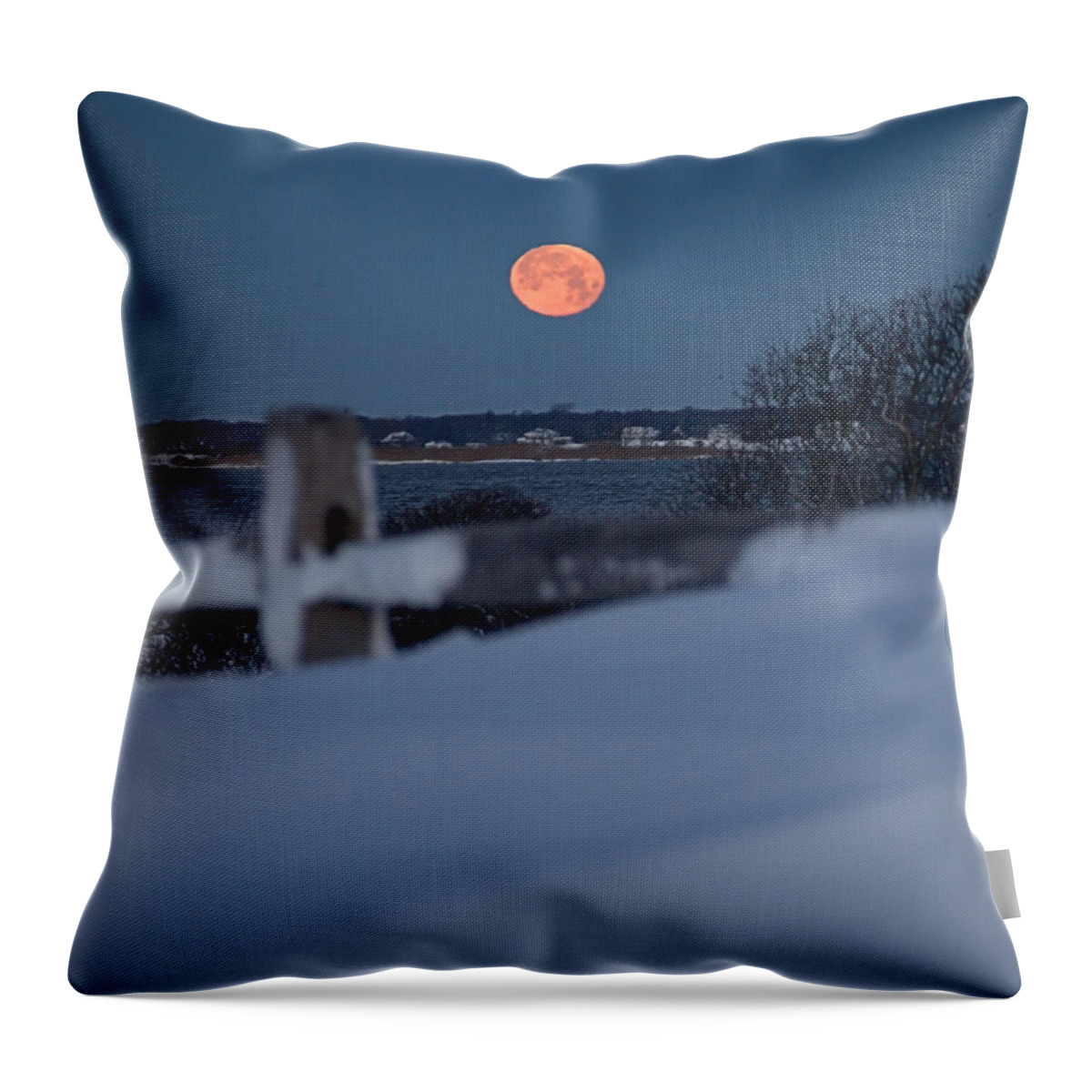 Wolf Moon Throw Pillow featuring the photograph Wolf Moon by Newwwman
