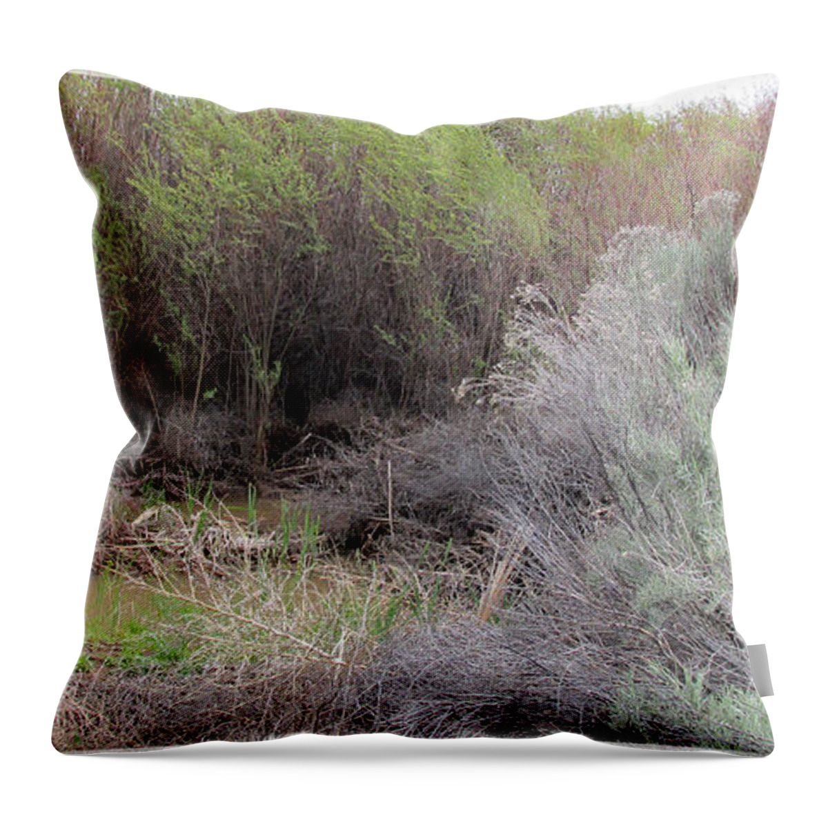 Woman Warrior Throw Pillow featuring the photograph Woman Warrior Guide by Feather Redfox