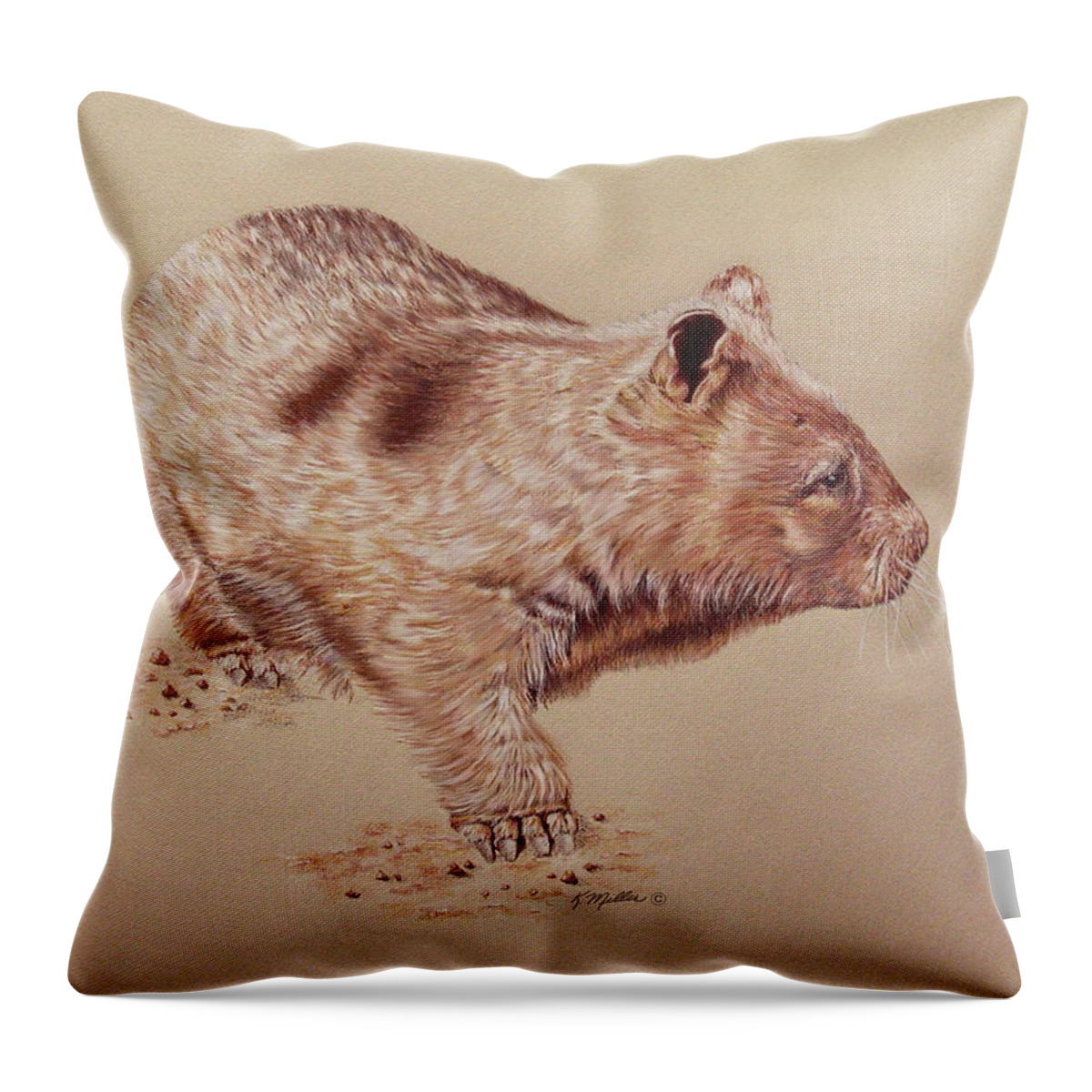 Wombat Throw Pillow featuring the drawing Wombat by Kathie Miller