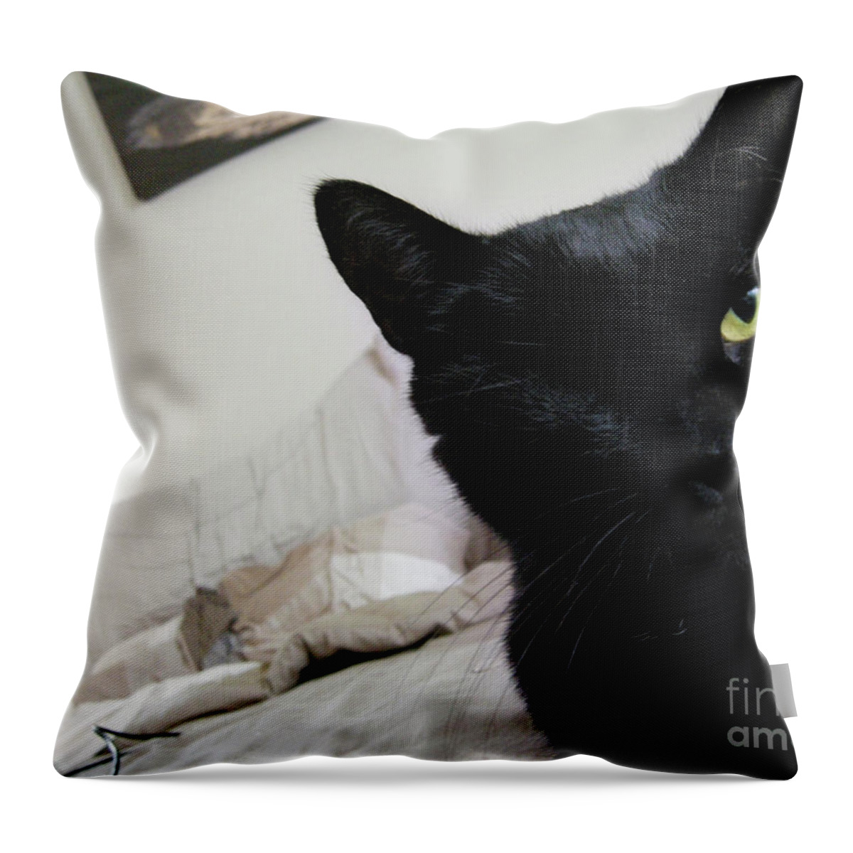 Cat Throw Pillow featuring the photograph Won-Ton on Bed by Erica Freeman