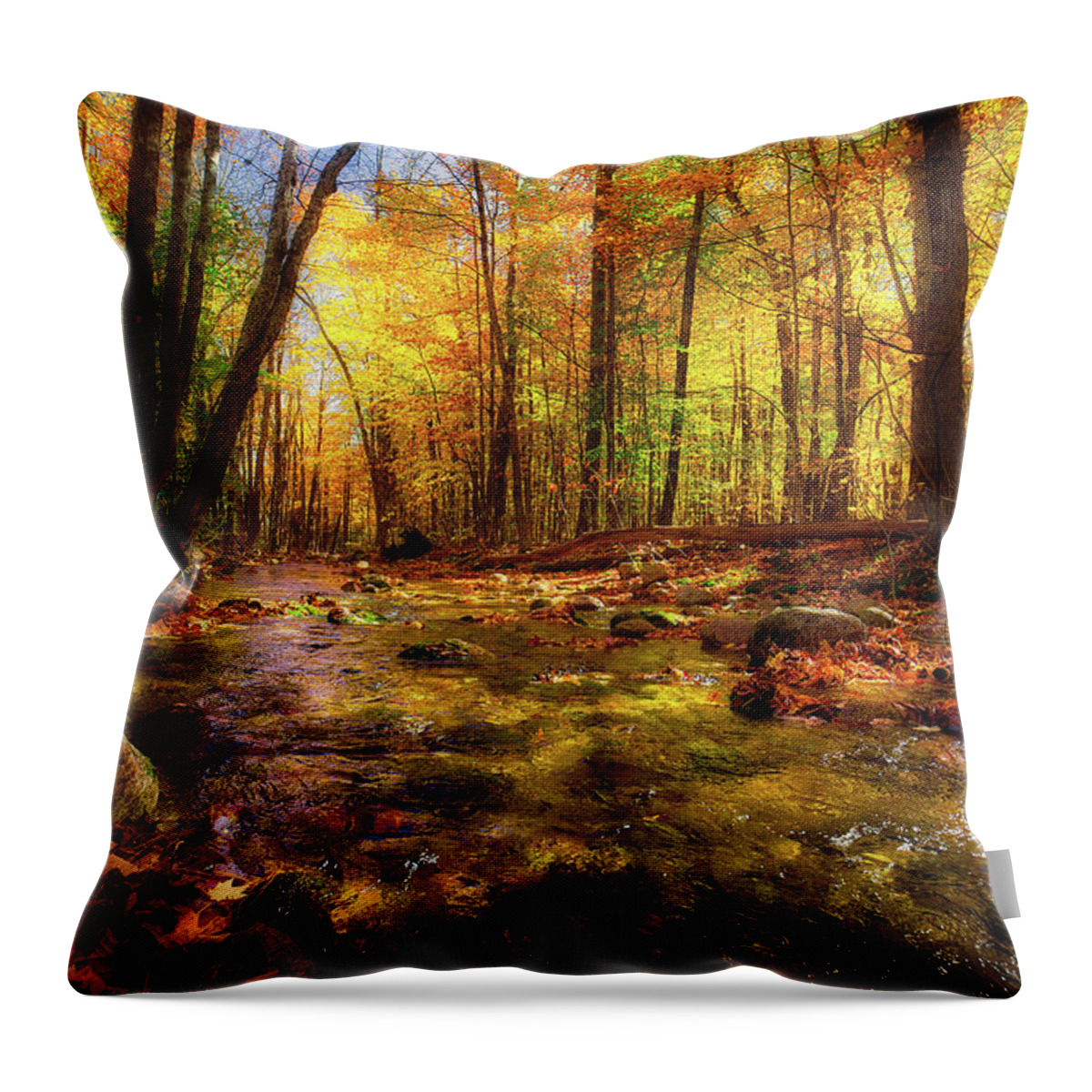 Fall Throw Pillow featuring the photograph Wonalancet River by Robert Clifford