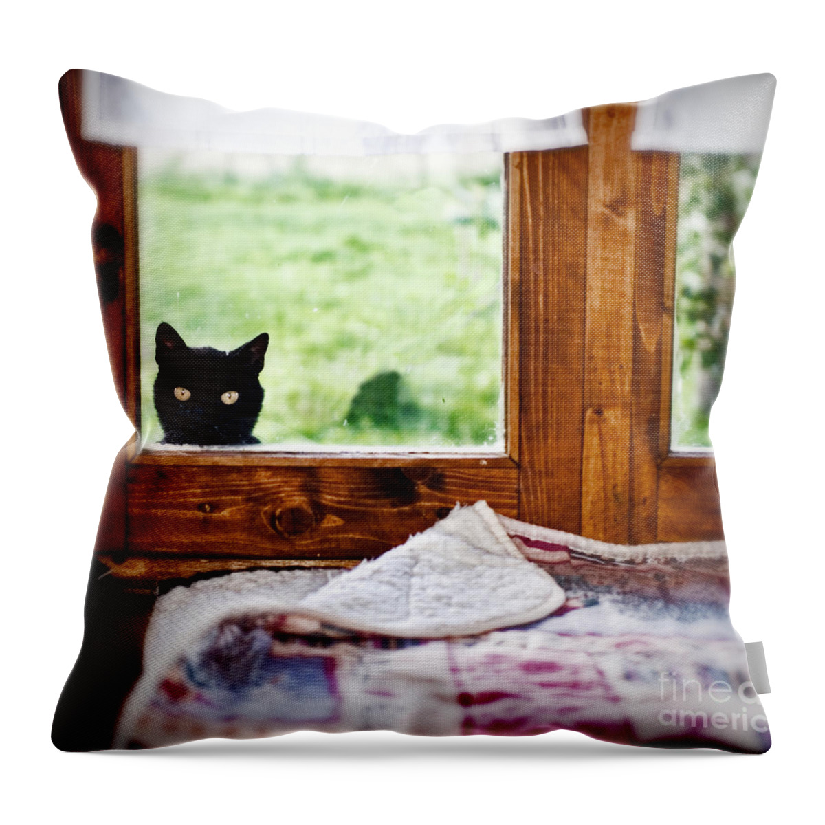 Animal Throw Pillow featuring the photograph Wondering what's SHE... Better investigate by Silvia Ganora