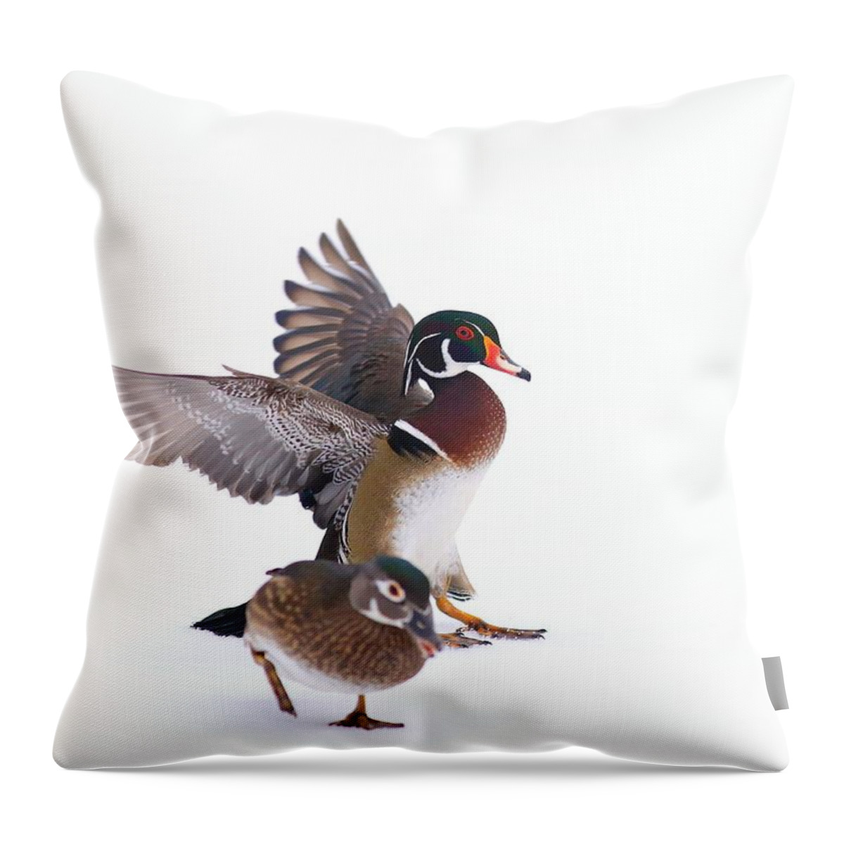 Wood Duck Couple Throw Pillow featuring the photograph Wood duck couple by Lynn Hopwood