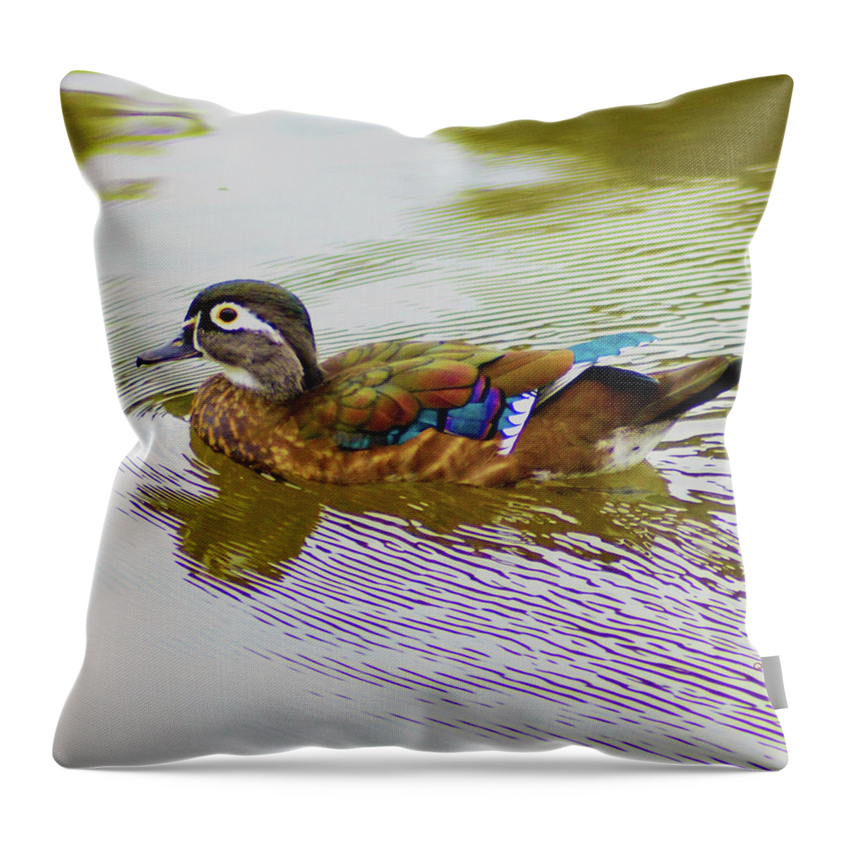 Wood Duck Hen Throw Pillow featuring the photograph Wood Duck Hen by Kathy Kelly