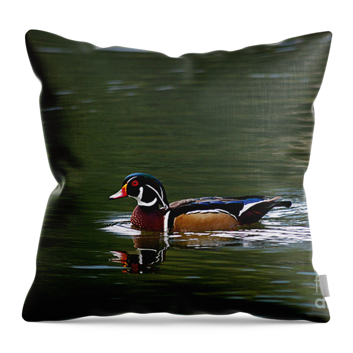 Wildlife Throw Pillow featuring the photograph Wood Duck Male 20130924_37 by Tina Hopkins