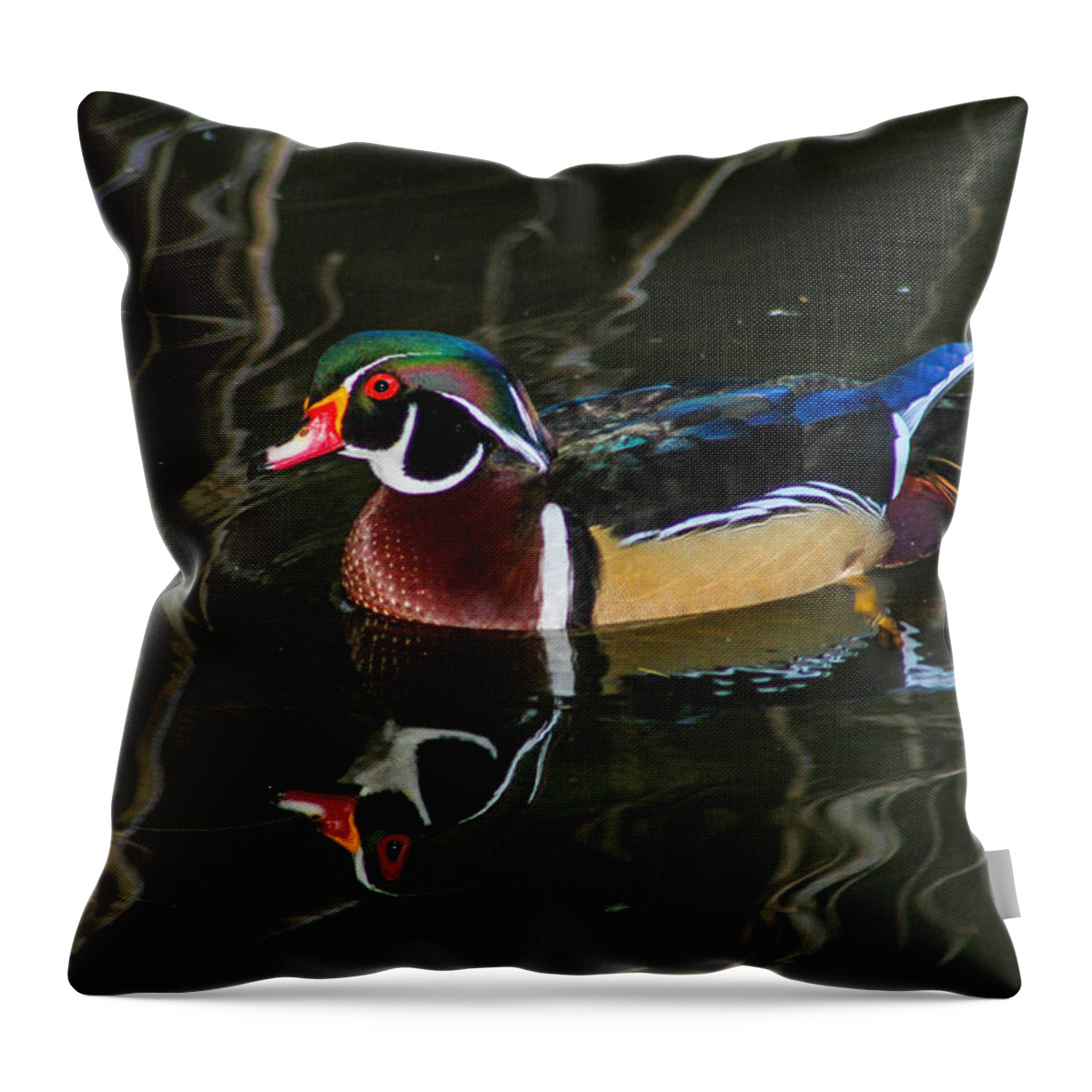 Duck Throw Pillow featuring the photograph Wood Duck Reflections by Robert Hebert