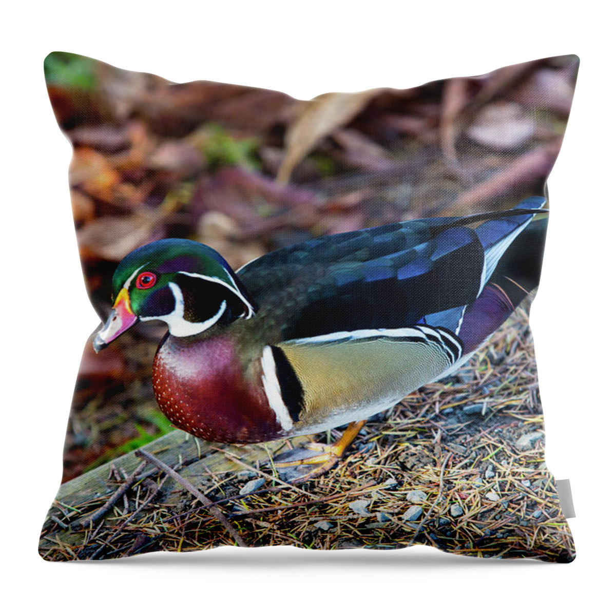 Bird Throw Pillow featuring the digital art Wood Duck by Birdly Canada