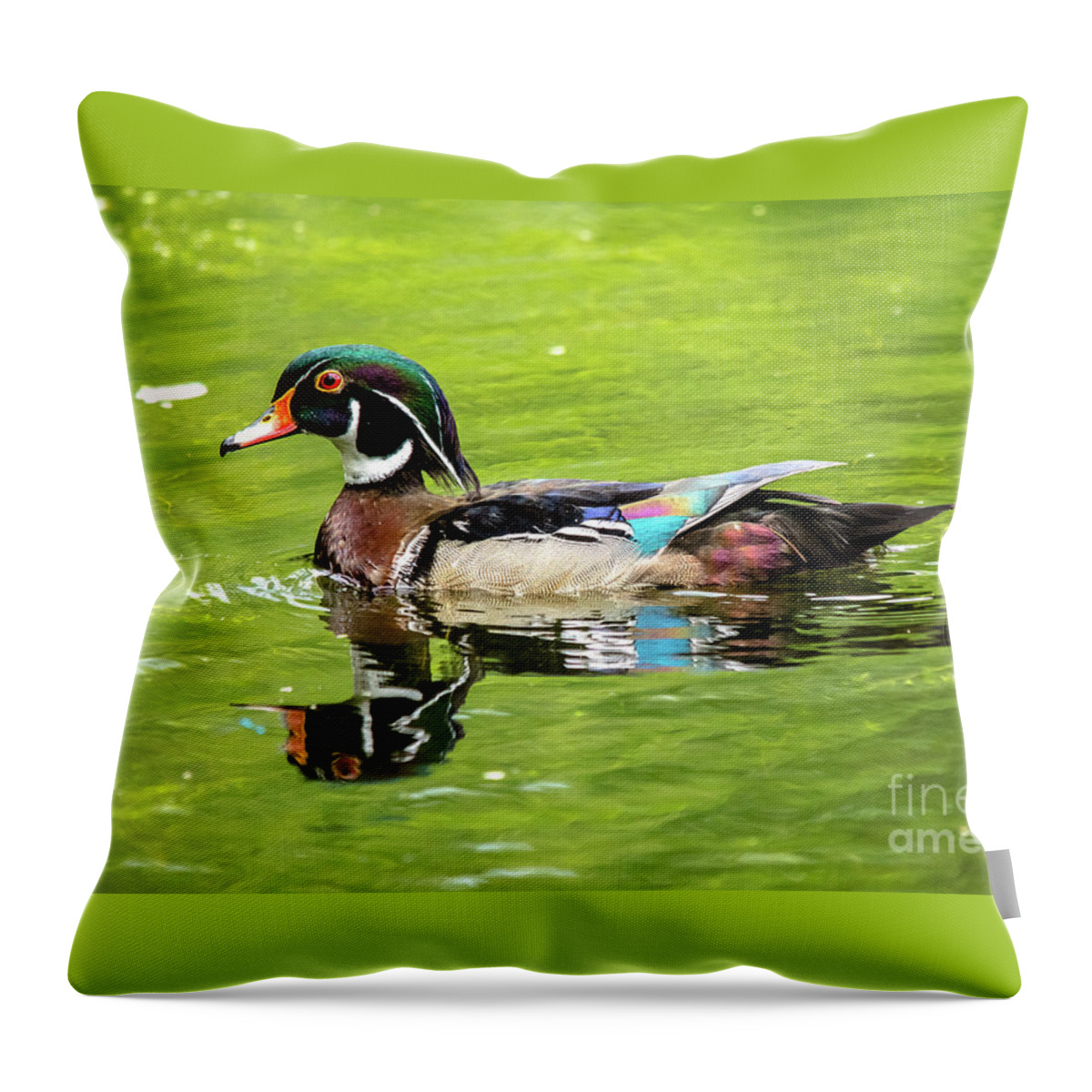 Cheryl Baxter Photography Throw Pillow featuring the photograph Wood Duck with Lime Green Background by Cheryl Baxter