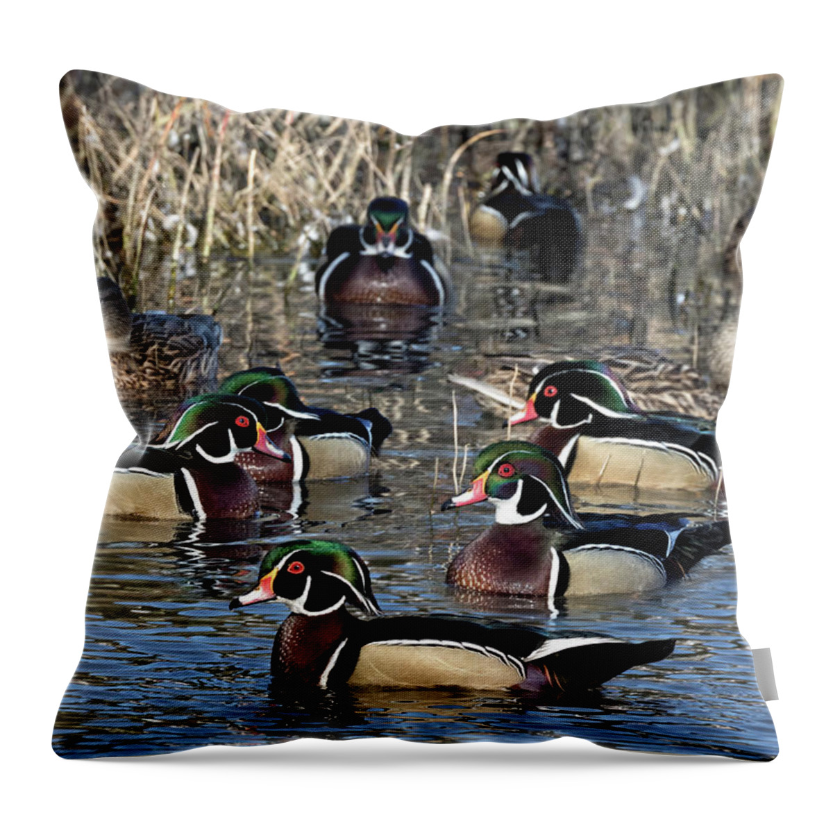 Wood Ducks Throw Pillow featuring the photograph Wood Ducks on the Mill Pond by Kathleen Bishop