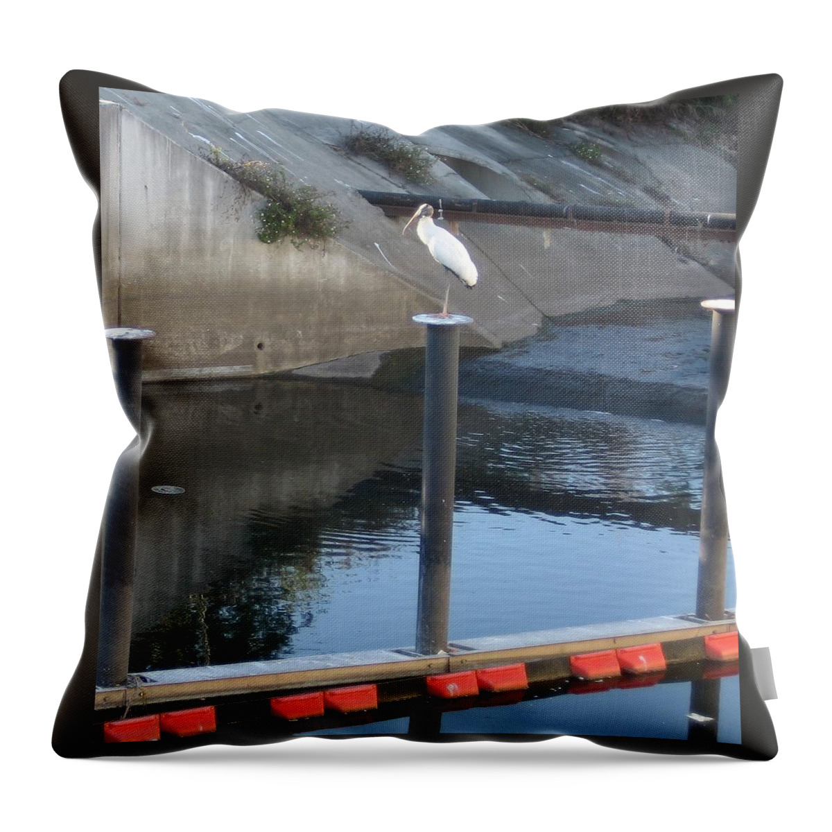 Wood Stork Throw Pillow featuring the photograph Wood Stork 1 Meander by Stephen Hawks