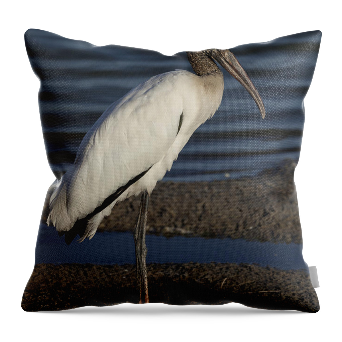 Wood Throw Pillow featuring the photograph Wood Stork in the final light of day by David Watkins