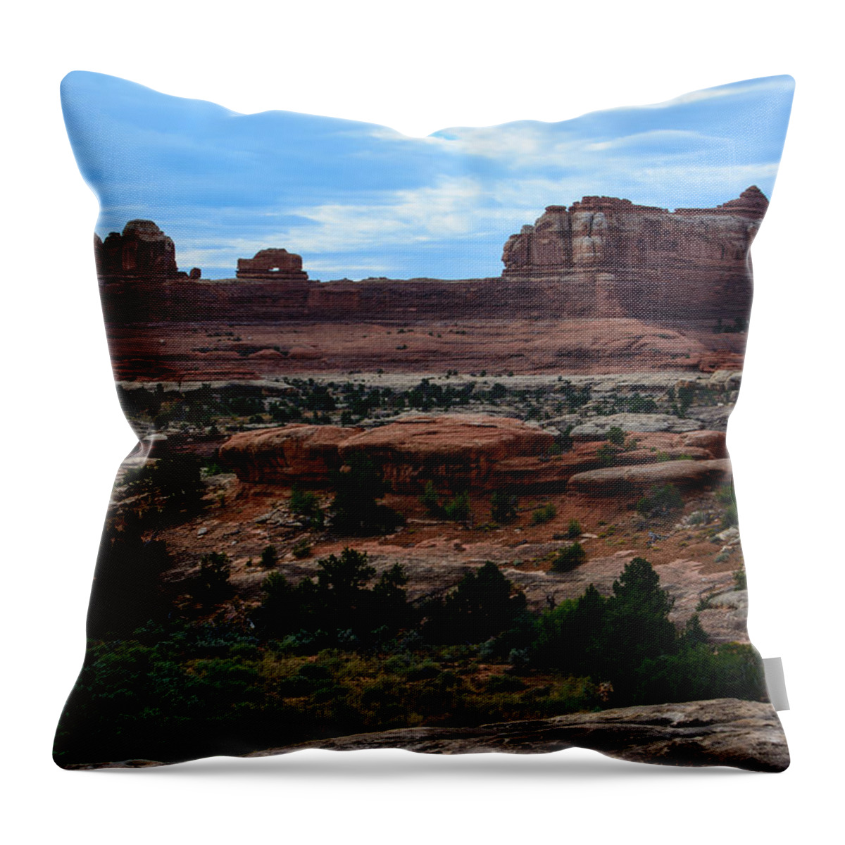Landscape Throw Pillow featuring the photograph Wooden Shoe Arch by Tikvah's Hope