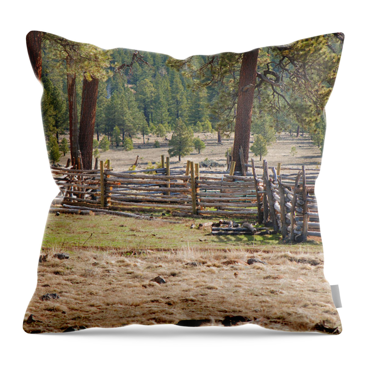Fine Art Throw Pillow featuring the photograph Woodland Corral - White Mountains Arizona by Donna Greene