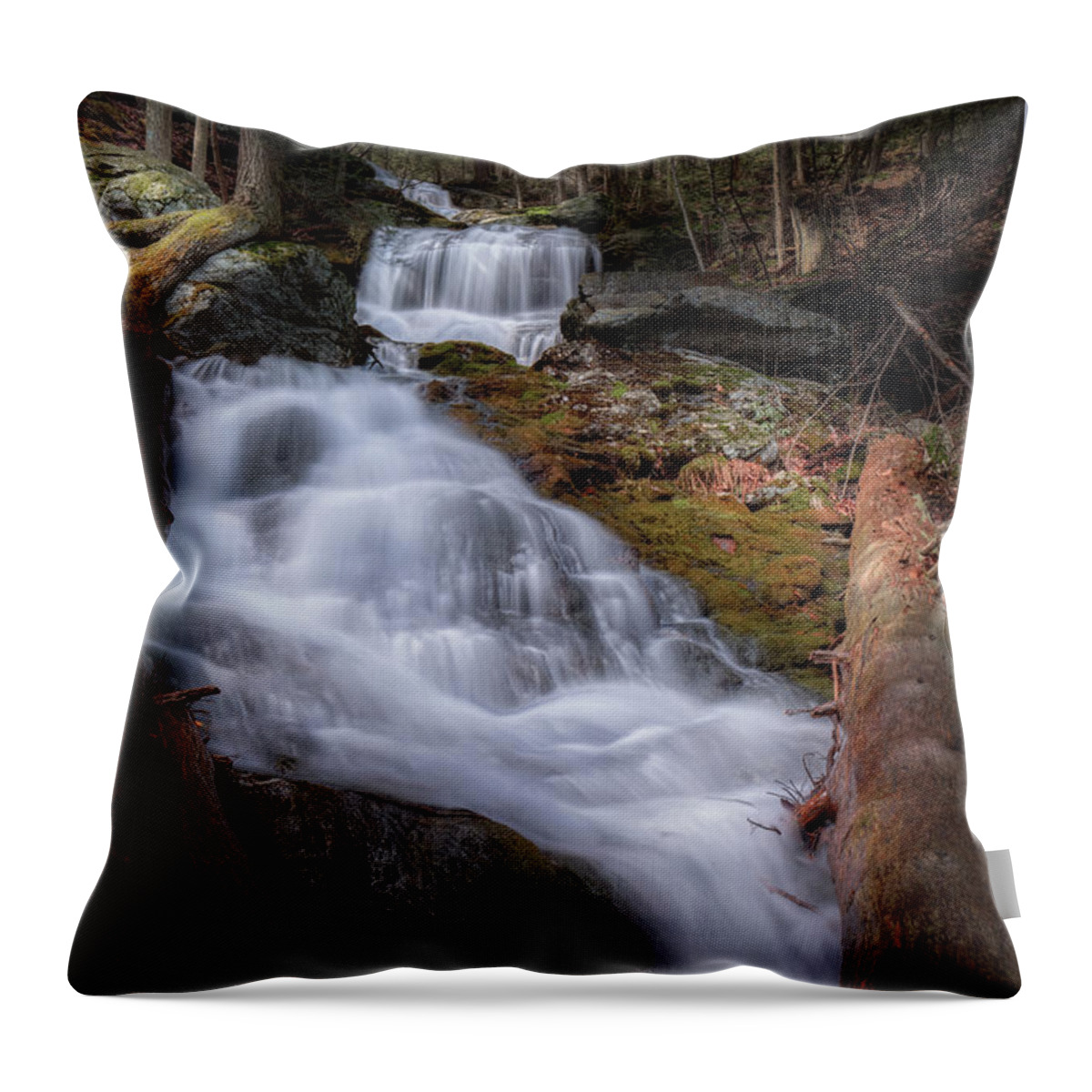 Race Brook Falls Throw Pillow featuring the photograph Woodland Falls 2017 by Bill Wakeley