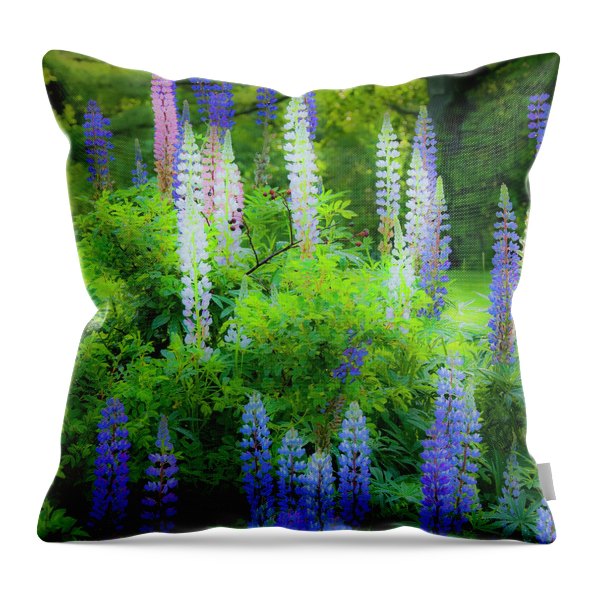 Lupines Throw Pillow featuring the photograph Woodland Fantasy by Jeff Cooper
