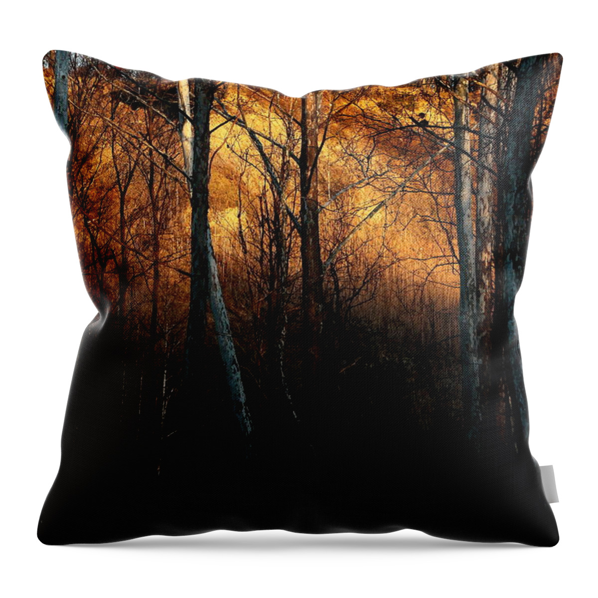 Forest Throw Pillow featuring the photograph Woodland Illuminated by Bruce Patrick Smith