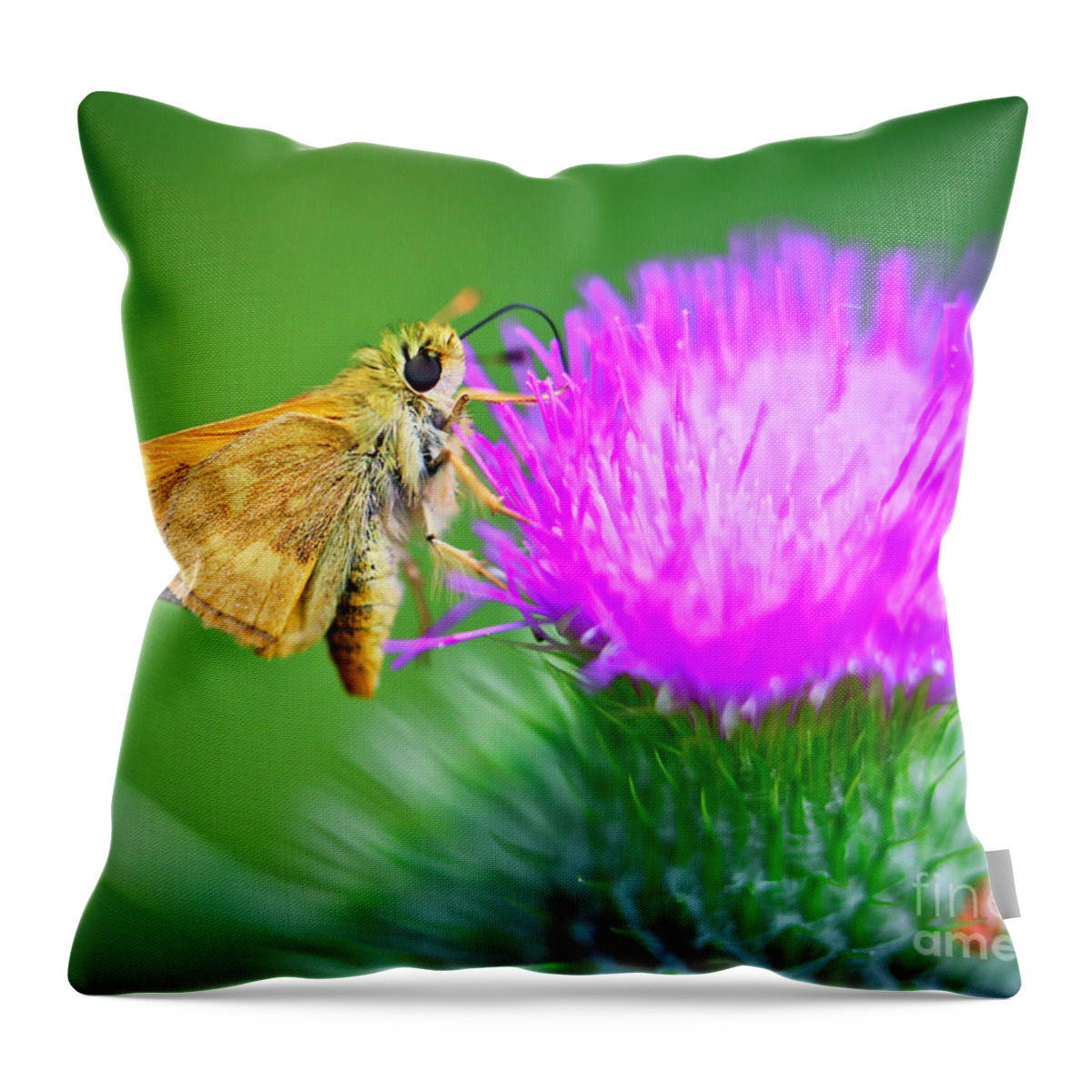 Woodland Skipper Throw Pillow featuring the photograph Woodland Skipper on Thistle by Bruce Block