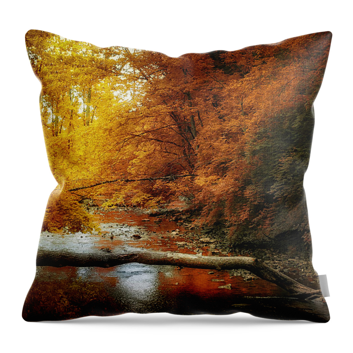 Stream Throw Pillow featuring the photograph Woodland Stream by Tom Mc Nemar