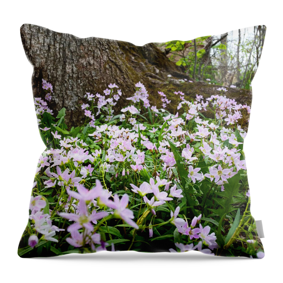Wisconsin Throw Pillow featuring the photograph Woodlands Spring Beauty by Brook Burling