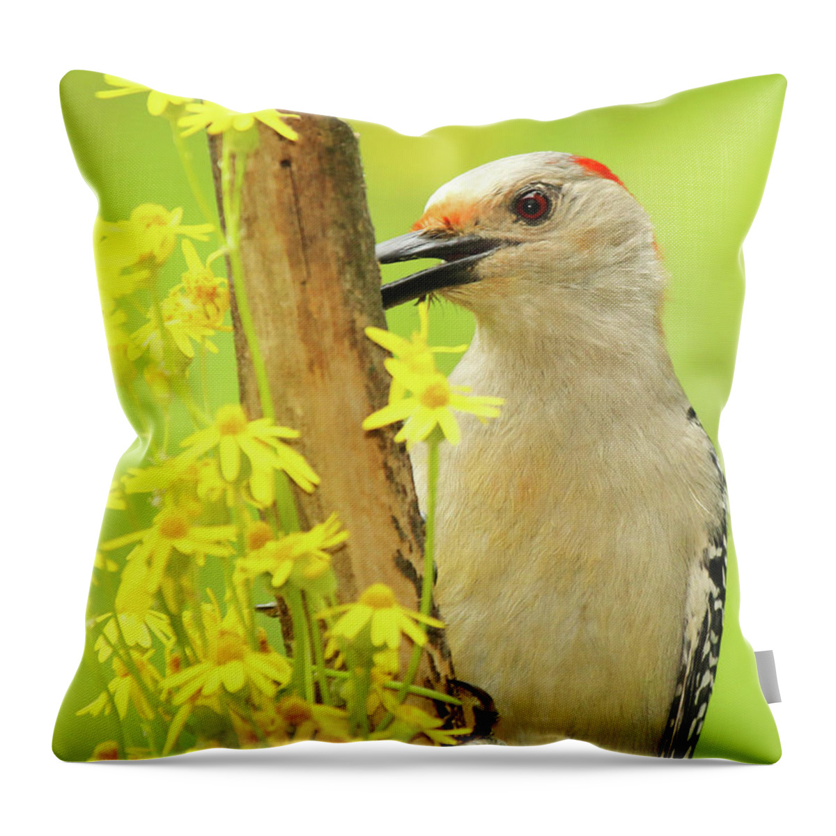 Bird Throw Pillow featuring the photograph Woodpecker Among Yellow Flowers by Max Allen