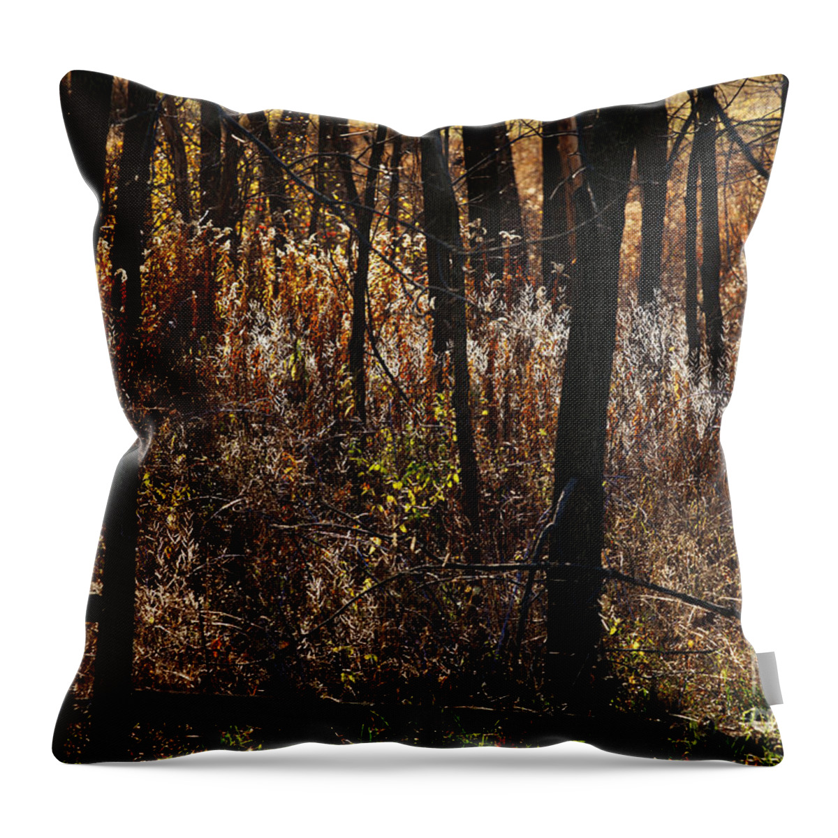 Michigan Throw Pillow featuring the photograph Woods - 2 by Linda Shafer