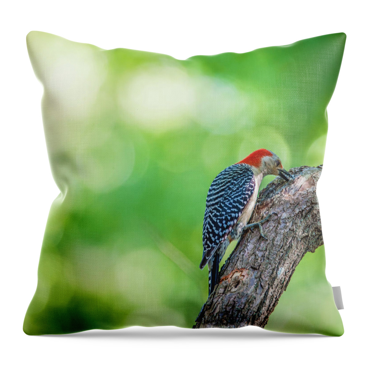 Bird Throw Pillow featuring the photograph Woody by Cathy Kovarik