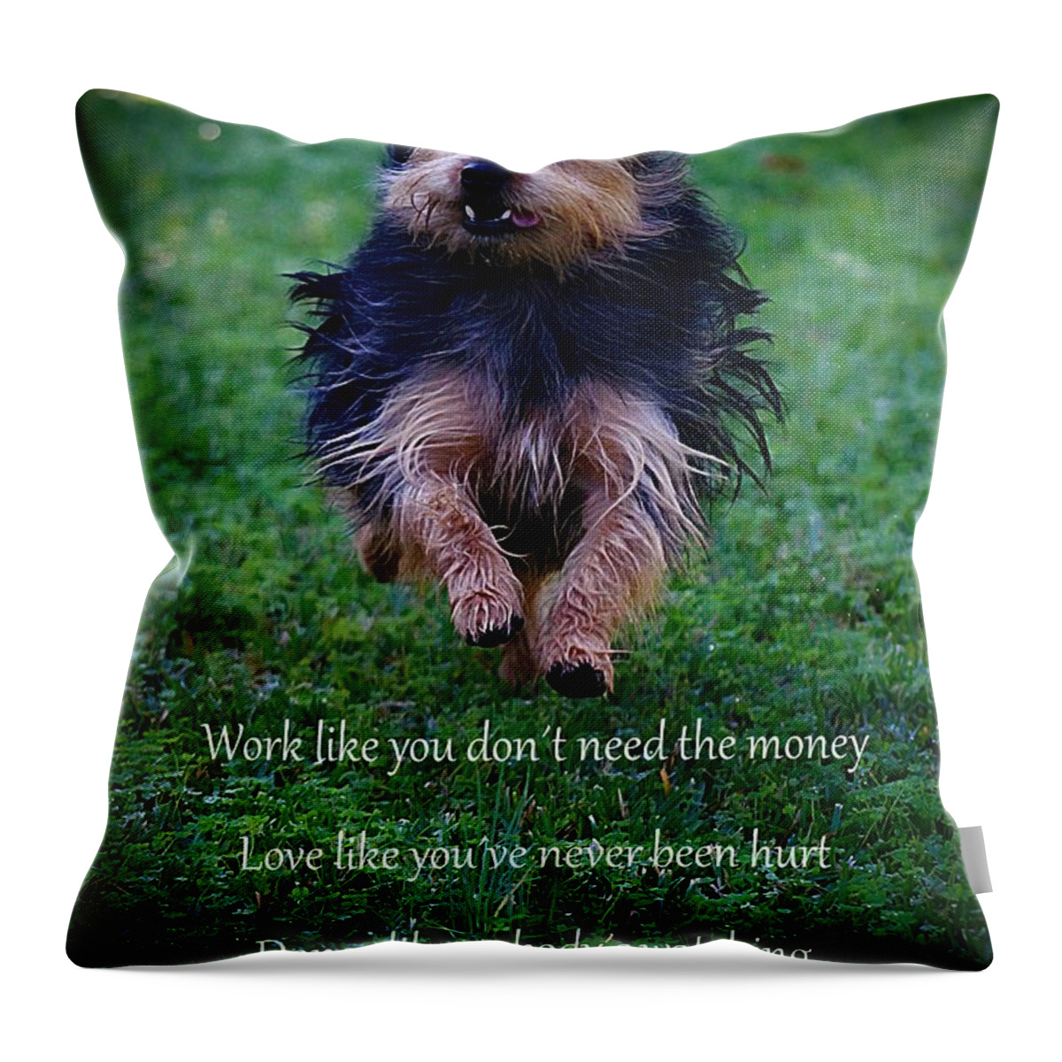 Dog Throw Pillow featuring the photograph Words to Live By by Clare Bevan