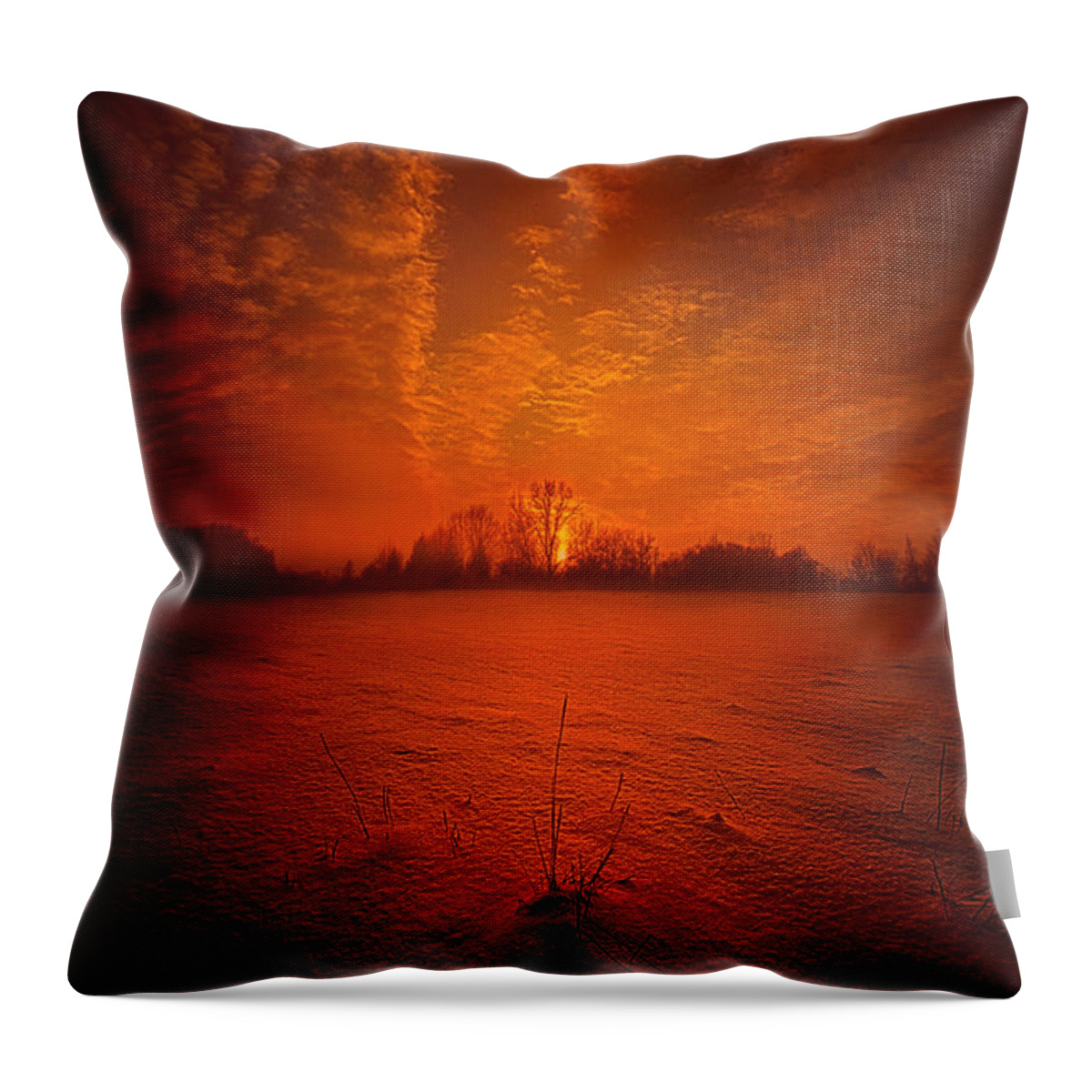 Winter Throw Pillow featuring the photograph World Without End by Phil Koch