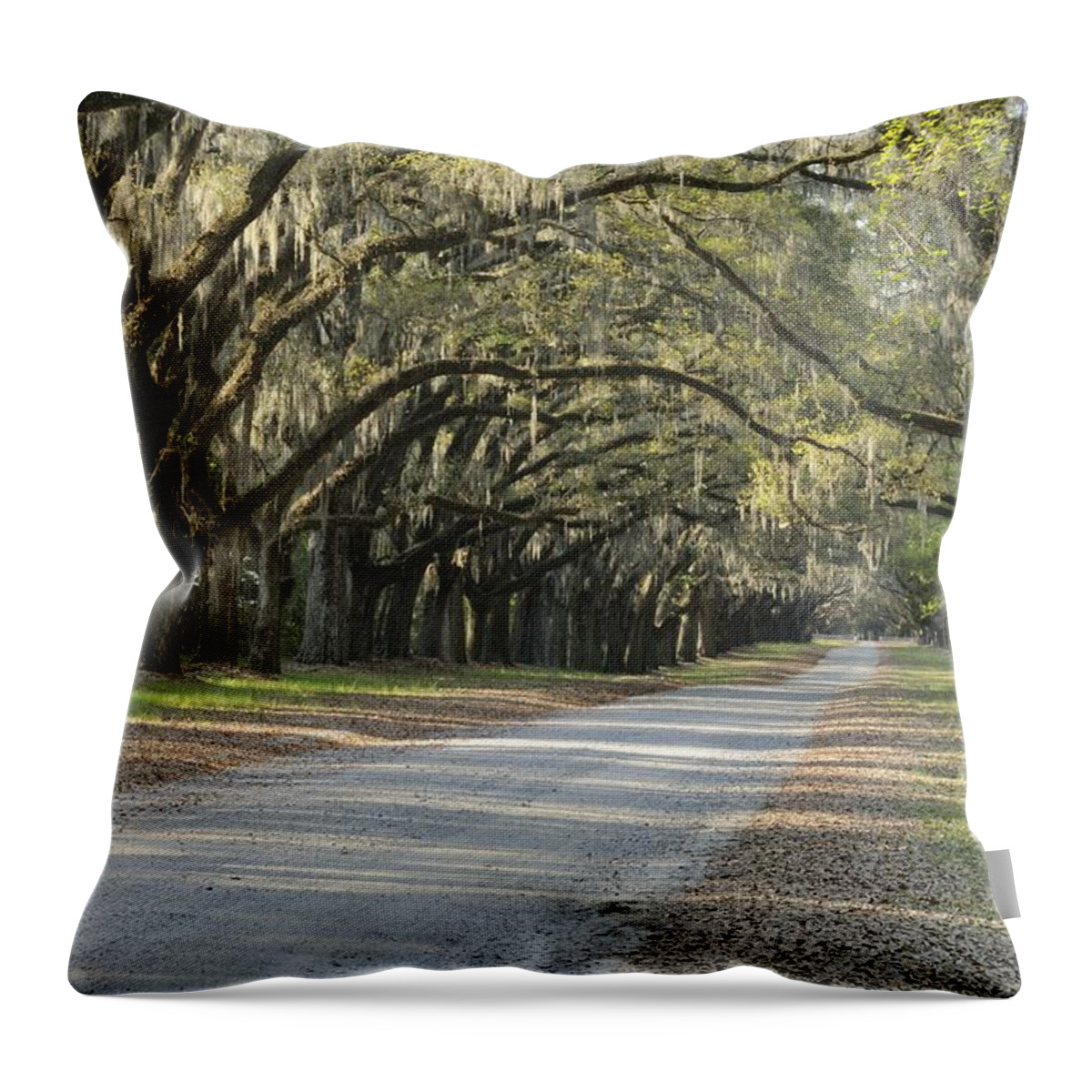 Live Oak Throw Pillow featuring the photograph Wormsloe entrance road by Bradford Martin