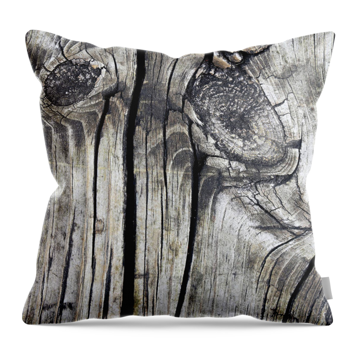 Wood Throw Pillow featuring the photograph Worried by Mary Bedy