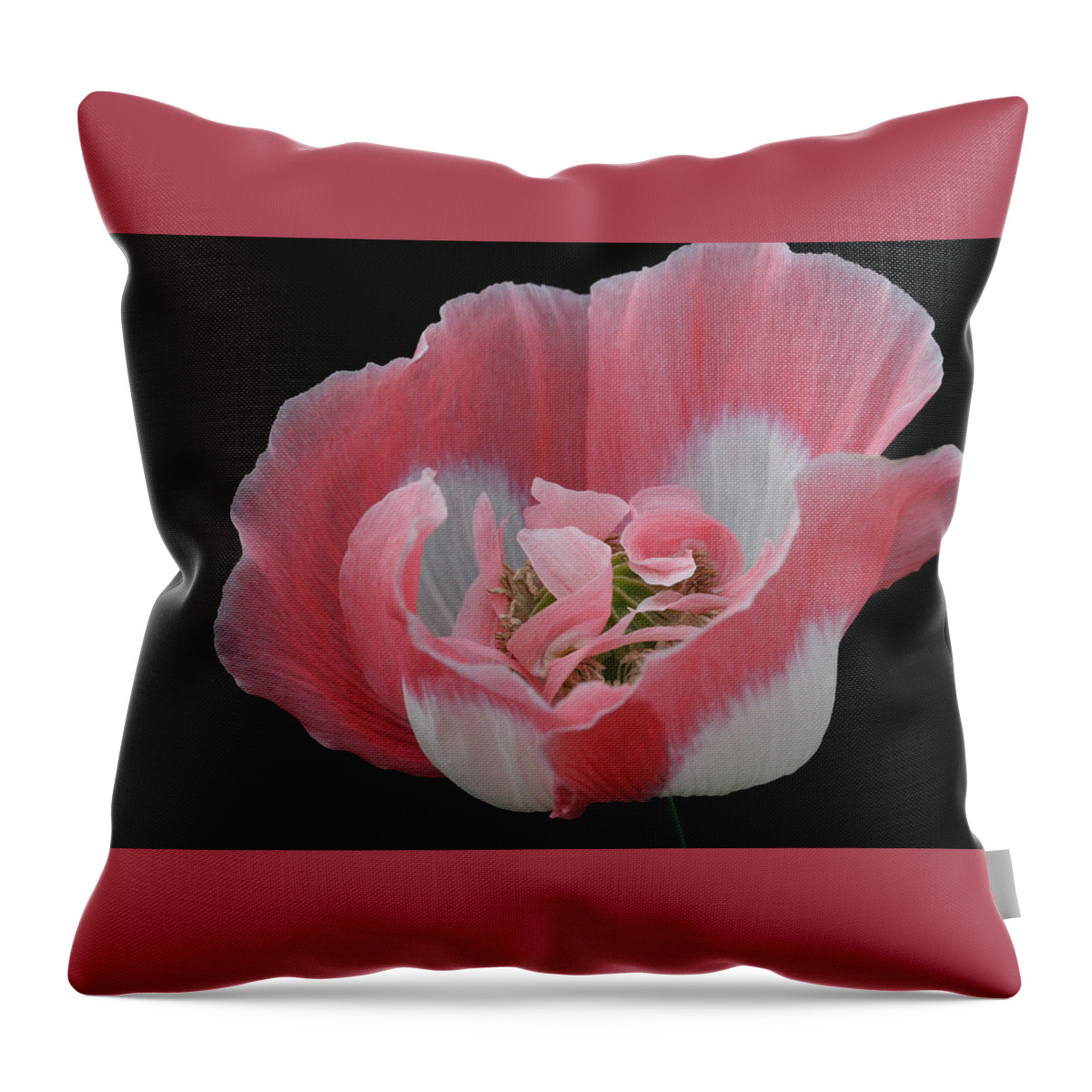 Poppy Throw Pillow featuring the photograph Wrapped in Silk by Tammy Pool