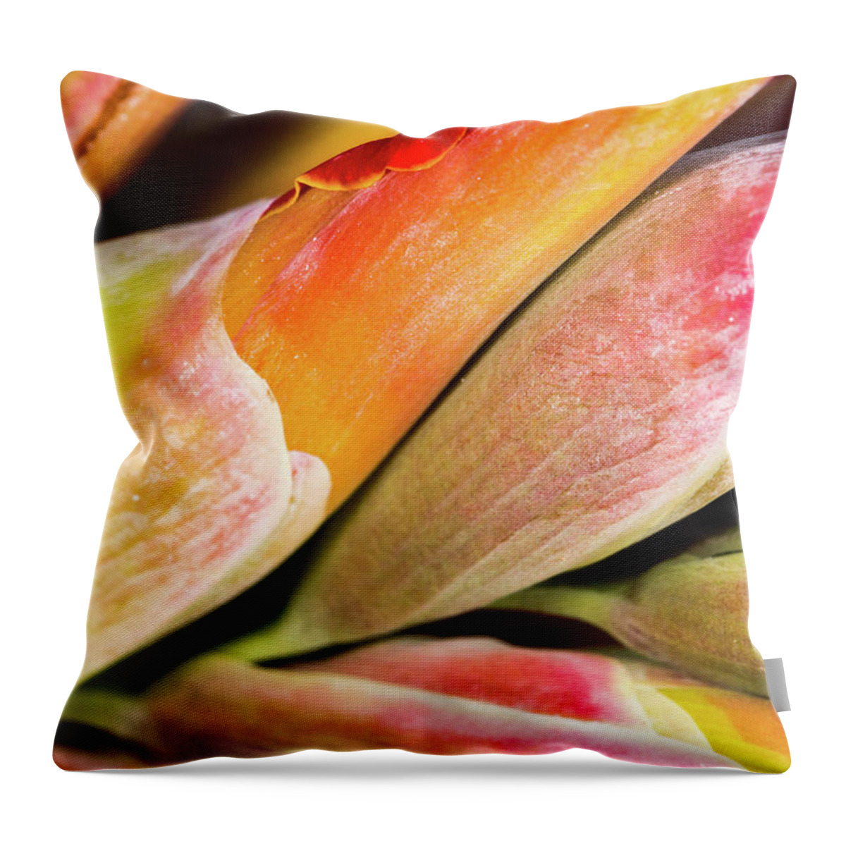 Abstract Throw Pillow featuring the photograph Wrapped Red Canna Flowers by SR Green