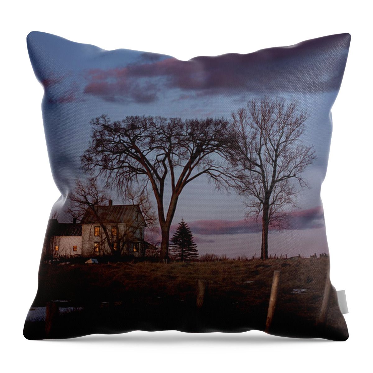 Farm Throw Pillow featuring the photograph Wright Farm by Lisa Bryant