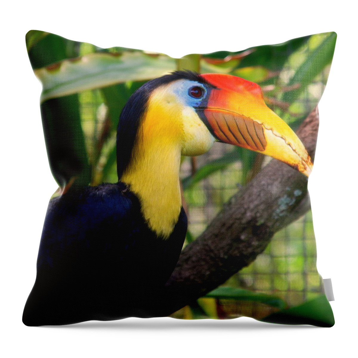 Wrinkled Hornbill Throw Pillow featuring the photograph Wrinkled Hornbill by Susanne Van Hulst