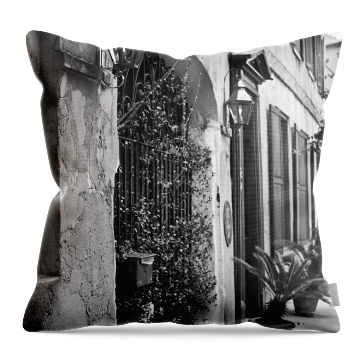 Wrought Iron Entry Downtown Charleston South Carolina Throw Pillow featuring the photograph Wrought Iron Entry by Dustin K Ryan